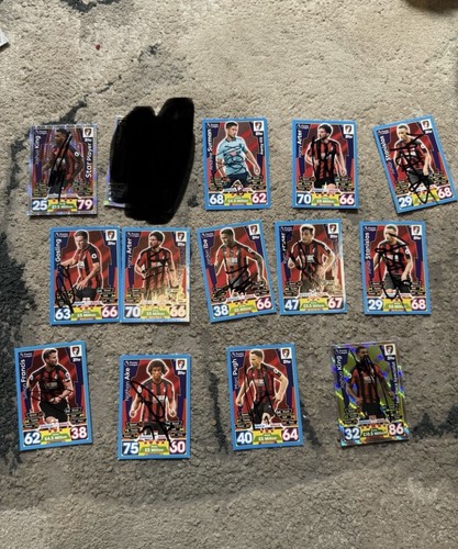 Bournemouth signed match - 13,