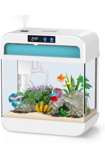 Fish tank gallon - fish,