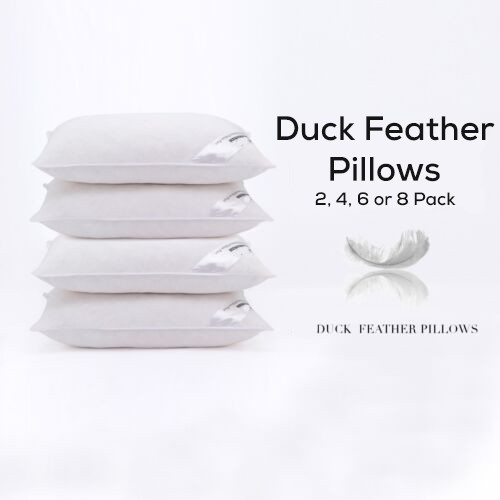 Duck feather down hotel - duck,