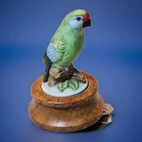 Vintage parakeet parrot - parakeet, on