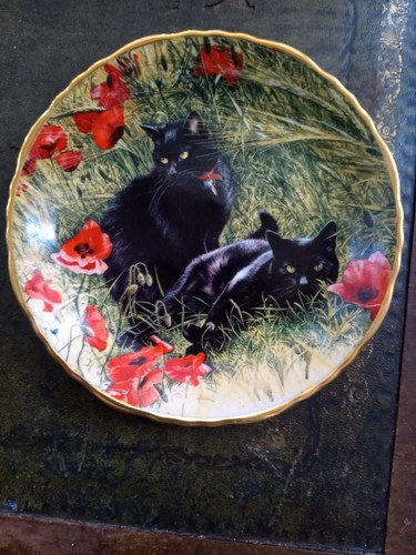 Davenport pottery scarlet - davenport,