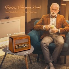 PRUNUS J-199 Retro Radio