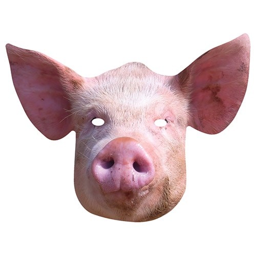 Pig cardboard face mask - pig,