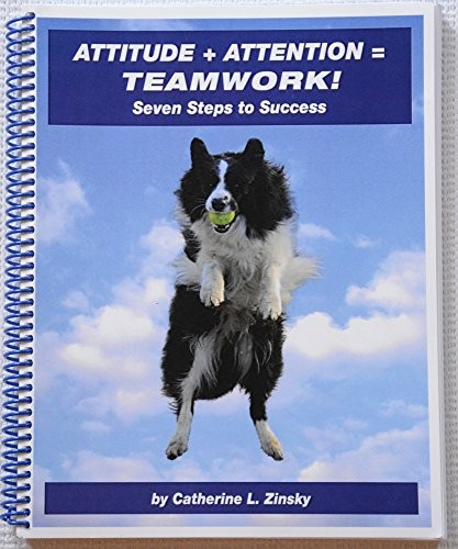 Attitude attention - +,