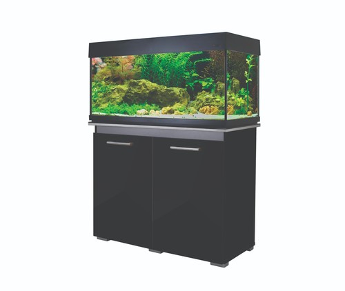 Aquavogue 170 black with - black,
