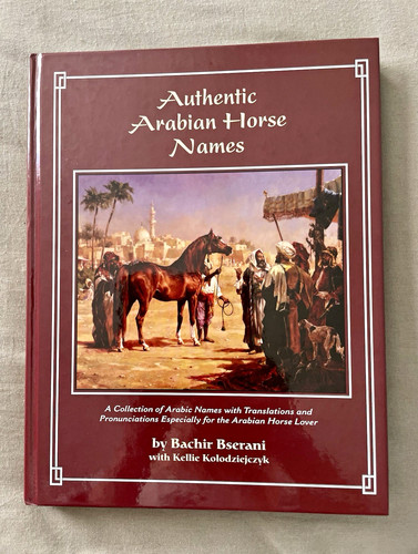 Authentic arabian horse names - horse,