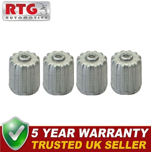 Quality set tyre - valve, dust