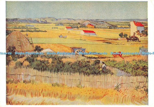 D030414 cornfields - cornfields, in