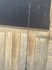 Daiwa STP-10KG Boat Rod