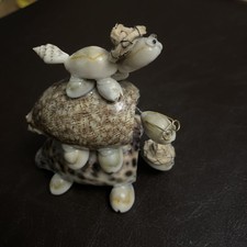 Sea Shell Art Stacked Turtles