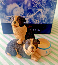 Border Fine Arts BFA Society