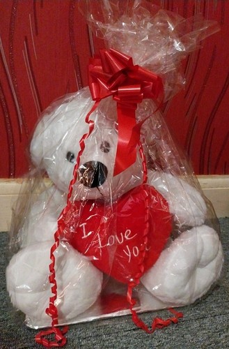Snuggle bears white teddy bear - snuggle,