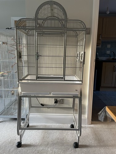 Santa mini medium - mini, parrot