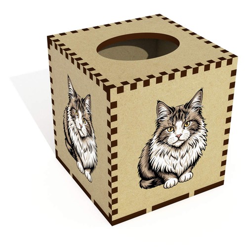 Square norwegian forest cat - 'norwegian,