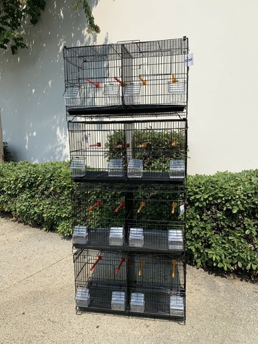 Set stackable breeding - stackable,