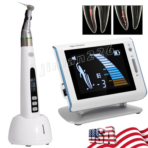 Woodpecker style dental - woodpecker,