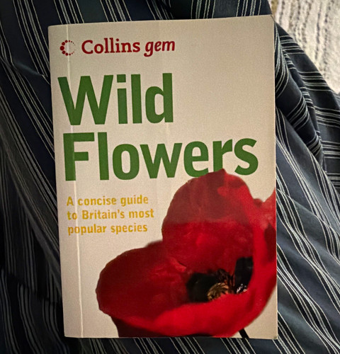 Collins gem ser - collins, wild