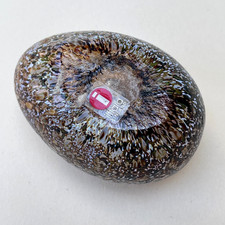 RARE OIVA TOIKKA IITTALA