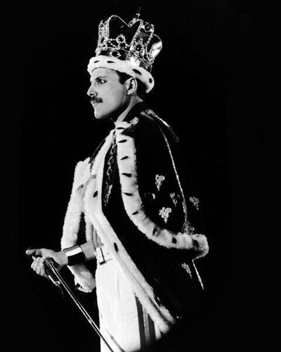 Freddie mercury unsigned - freddie,