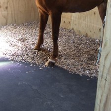 EVA Horse Stable Floor Mats |