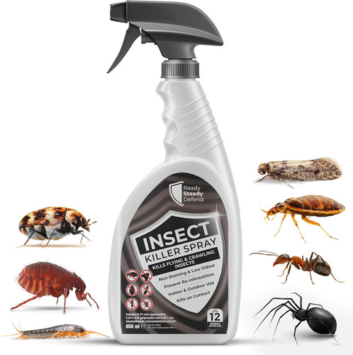Effective insect killer spray - killer,