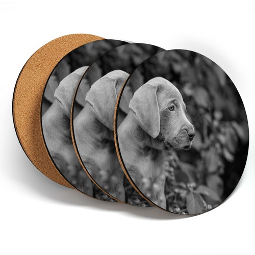 Coasters bw - 4,