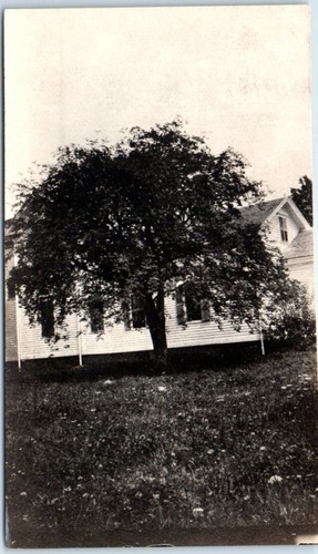 Postcard tree and house - postcard,