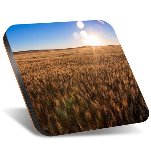 Square coaster 12cm - 1x, wheat