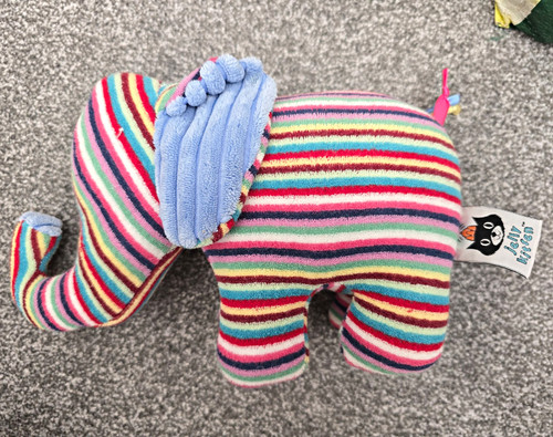 Jelly kitten cordy - jelly,