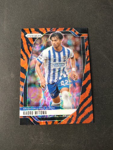 Panini prizm 2024 - prizm, kaoru