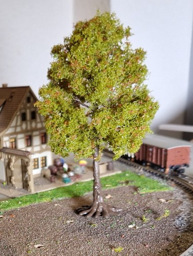 Chestnut tree - chestnut.,