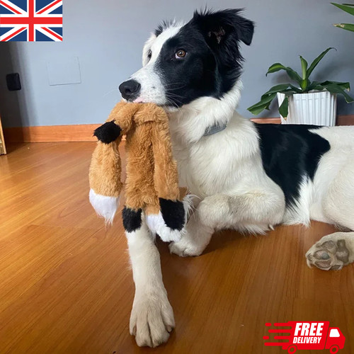 Plush dog chew toy with - dog,