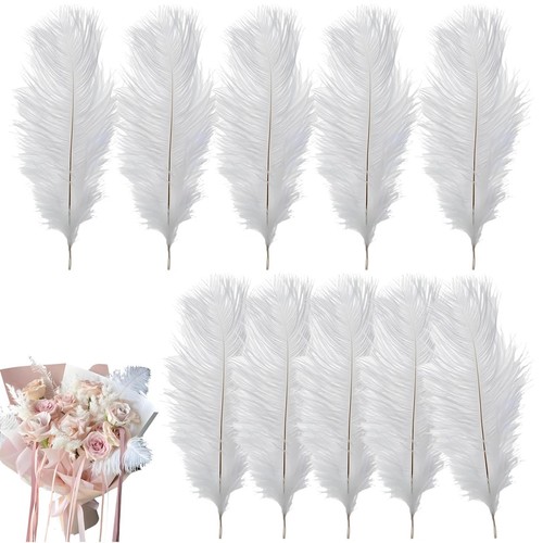 Pcs ostrich feathers - ostrich,