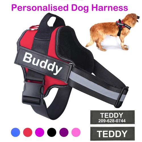 Pull dog harness - no,