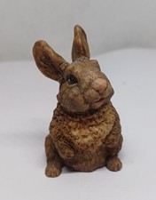 Cute Little Brown Bunny Rabbit