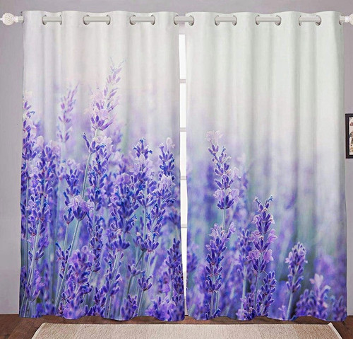 Lavender botanical floral - botanical,