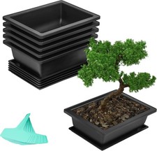 Bonsai Training Pots and