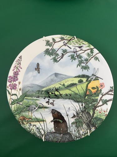 Wedgwood collectors plate - wedgwood,