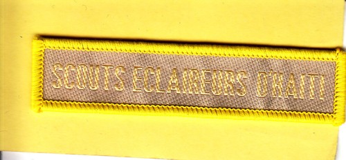Boy scout badge - boy,