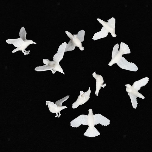 10x mini pigeon - animal, bird