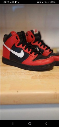 Nike dunk hightops - nike, trainers