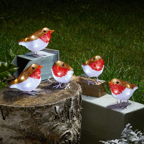 Light robin christmas - up,