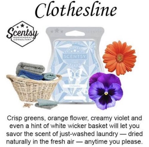 Scentsy clothesline wax - scentsy,