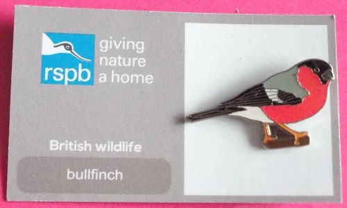 Bullfinch rspb giving - rspb,,