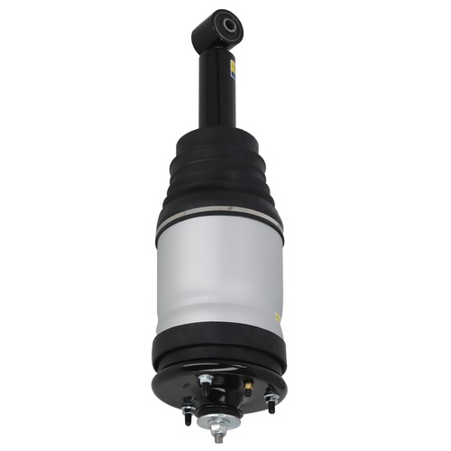 Rear air ride suspension - rear, strut