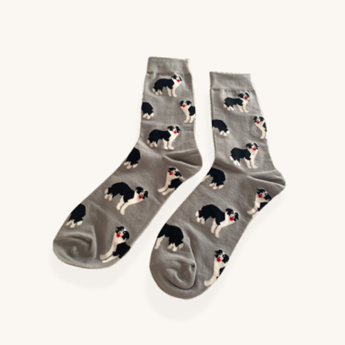 Border collie socks - collie, dog