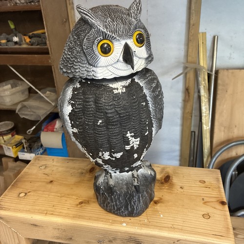 Large realistic owl decoy - realistic,