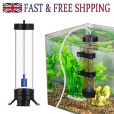 Brine Shrimp Hatchery Fish