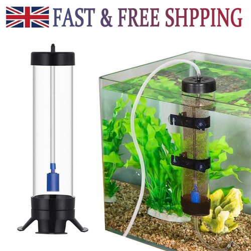 Brine shrimp hatchery fish - hatchery,