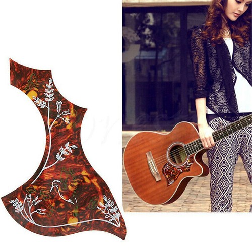 1pcs acoustic guitar - acoustic,